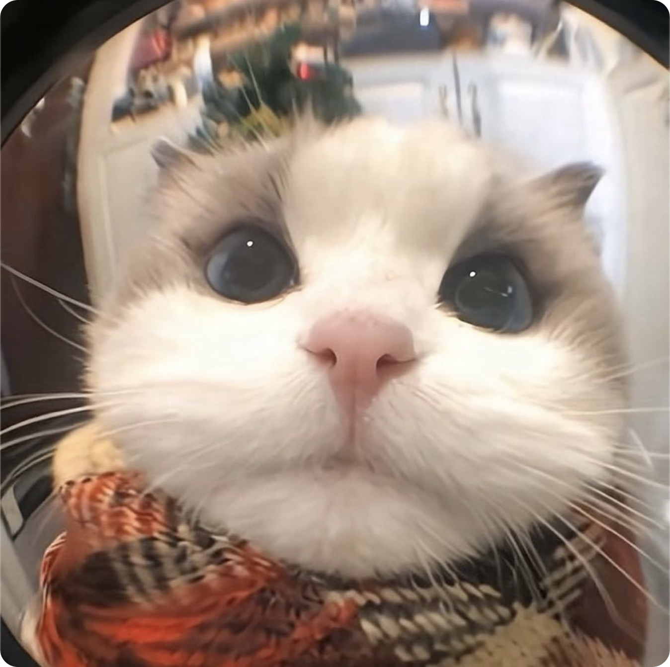 前端笔记